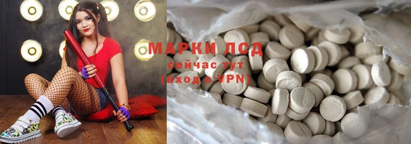 хмурый Белокуриха
