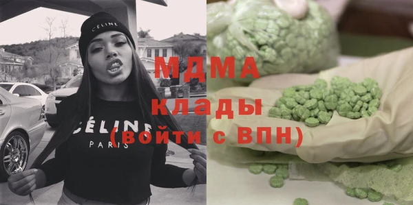 хмурый Белокуриха