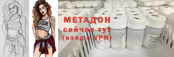 хмурый Белокуриха