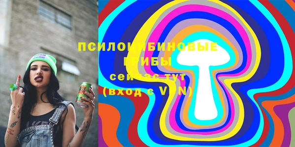 хмурый Белокуриха