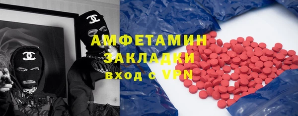 хмурый Белокуриха