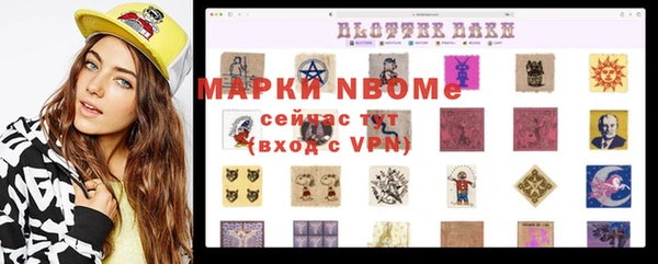 хмурый Белокуриха