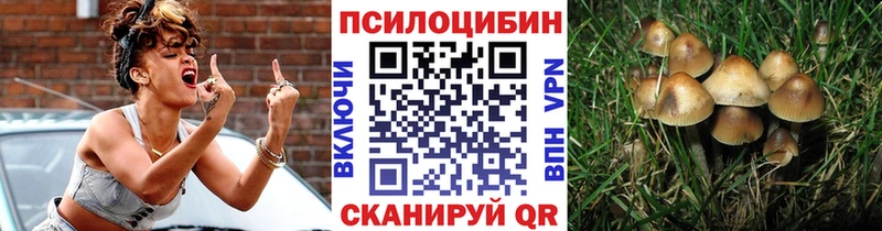 Галлюциногенные грибы Psilocybe Куртамыш